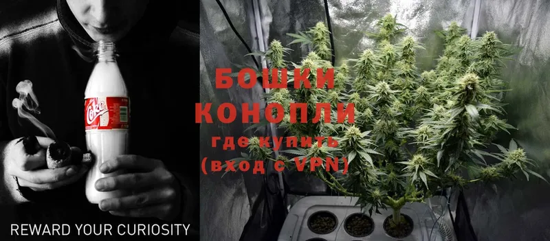 Где найти наркотики Алейск АМФ  Мефедрон  A PVP  ГАШИШ  Cocaine  Конопля 